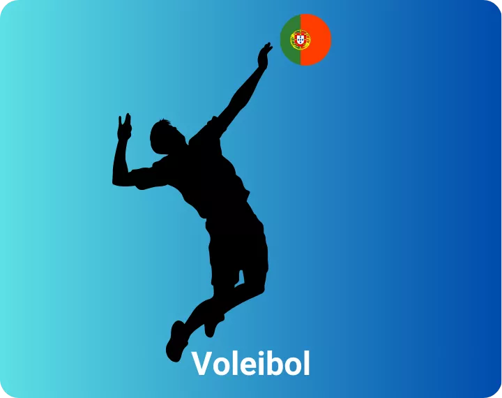 Voleibol