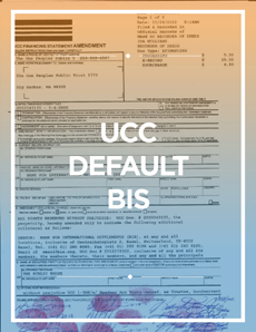 UCC Default BIS