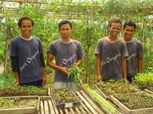 OrganicFarmers